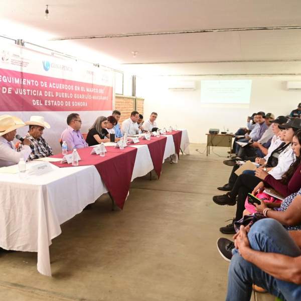 Gobierno de Sonora fortalece desarrollo económico con pesca de tilapia en presa Pilares